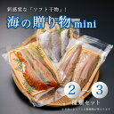 【ふるさと納税】 海の贈り物 mini 干物 2〜3種類 お試し 盛り合わせ セット 【送料無料】 ソフト干物 新感覚 季節の干物 旬 魚 干物 海鮮 魚介類 鯖 鯛 ホタテ サーモン 京都 舞鶴市