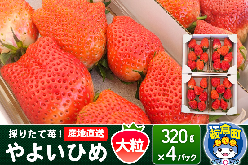 いちご（やよいひめ）大粒 4パック 採りたて苺！産地直送 イチゴ ストロベリー 生