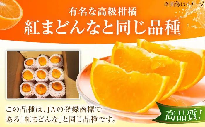 みかん 愛果28号 約2.7kg M-Lサイズ フルーツ 果物 みかん BJBG001