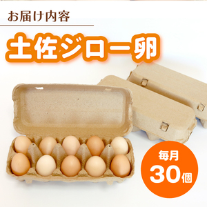 【卵 12回定期便】土佐ジローの卵 30個入 高知県 南国市
