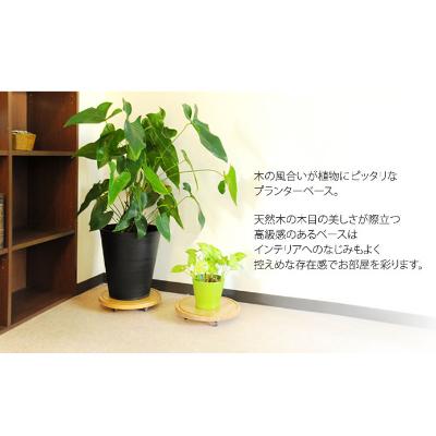 ふるさと納税 大川市 らくらくベース(アルダー) |  | 01