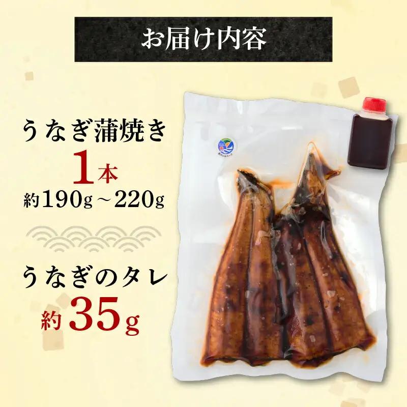 国産うなぎ蒲焼 1尾 (約190g) 【hn088】