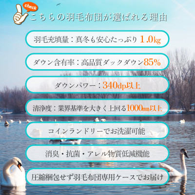 抗菌ダウン率85%1.0kg本厚掛け羽毛布団シングル(無地アイボリー)【筑後七国羽毛ふとん】