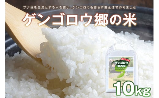 龍谷大学と共同開発／2026年産　京丹後産生物多様性米コシヒカリ「ゲンゴロウ郷の米」10kg箱入　CM00008