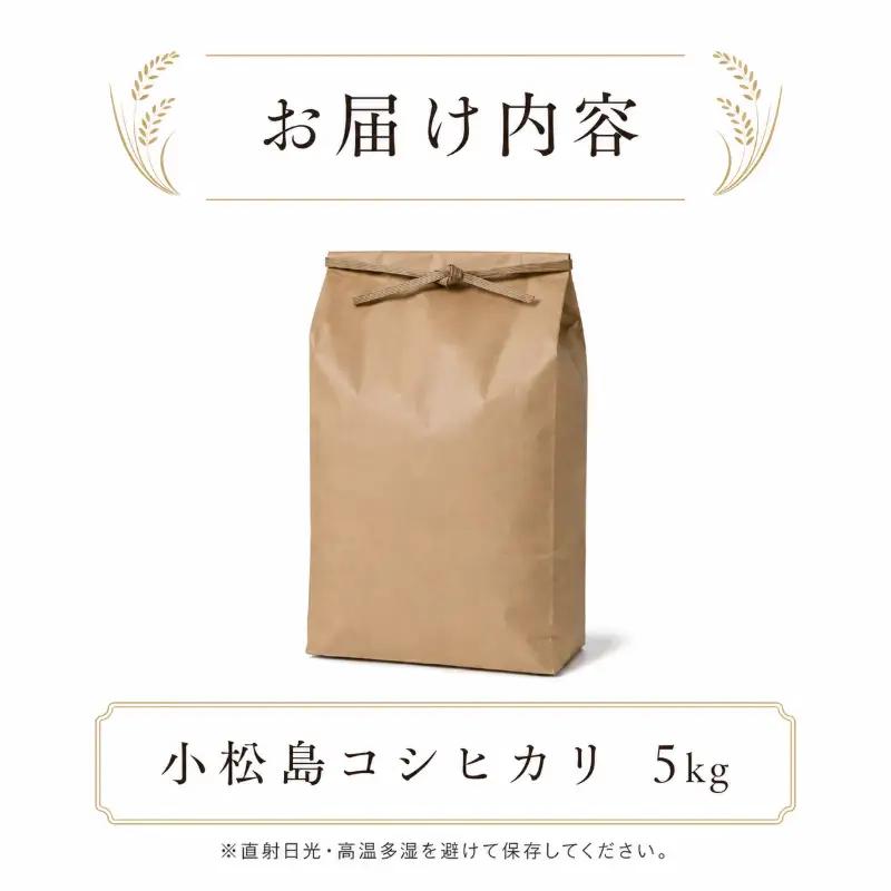 令和7年産 コシヒカリ 5kg 白米 米 数量 限定 こしひかり 5キロ 米5kg おにぎり