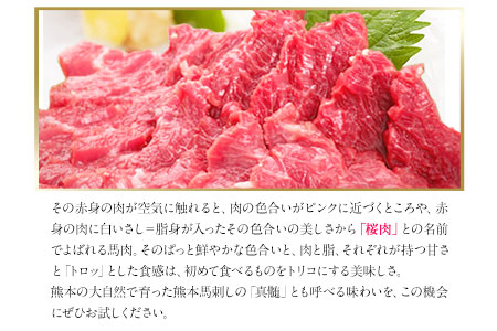 熊本馬刺し 馬刺し 上赤身 ブロック 国産 熊本肥育 冷凍 生食用 たれ付き(10ml×3袋) 100g×3セット 肉 期間限定 絶品 牛肉よりヘルシー 馬肉 予約 平成27年28年 農林水産大臣賞受