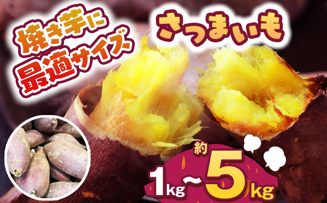
            【先行予約】食べやすい焼き芋サイズ 1~5kg  | さつまいも 芋 さつまいもご飯 炊き込みご飯 スイートポテト 大学芋 栗きんとん 秋 さつまいも 秋の味覚 栃木県 下野市 しもつけ市
          