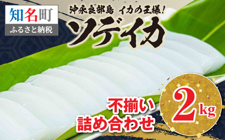 沖永良部島 イカ の 王様 ！ ソデイカ 2kg C010-025 魚介 海鮮 寿司 真空パック 鍋 沖永良部島漁業協同組合 ふるさと納税 知名町 おすすめ ランキング プレゼント ギフト