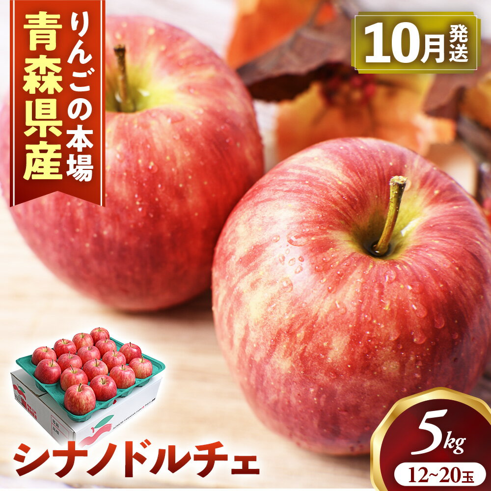 【ふるさと納税】青森りんご【シナノドルチェ】約5kg（12〜20玉）【2026年産・先行予約】★2026年10月上旬〜10月下旬頃まで発送予定★りんご 林檎 リンゴ 国産 フルーツ 果物 シナノドルチェ 贈答 土産 青森県 三戸町