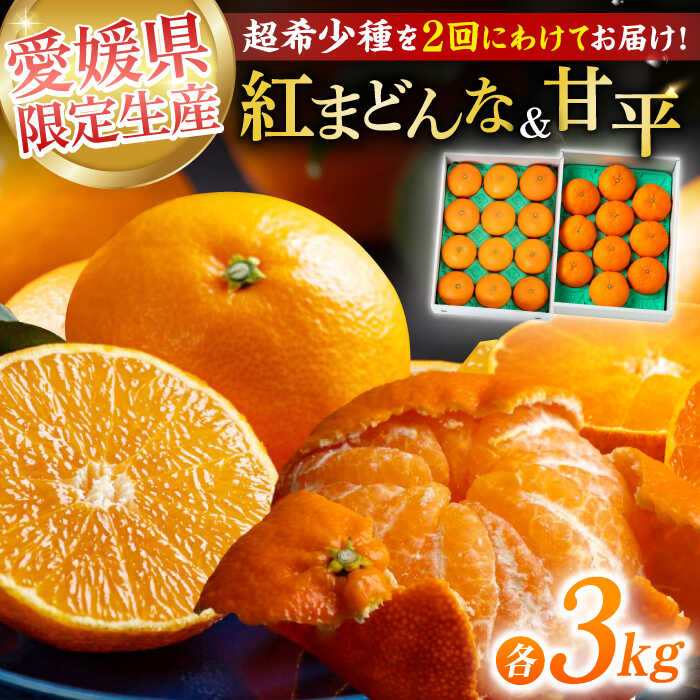 【ふるさと納税】【全2回定期便】【数量限定】紅まどんな 甘平 贅沢 定期便 各 3kg | 人気 おすすめ ランキング おいしい 甘い 大洲市/愛媛たいき農業協同組合[AGAO013] 30000 30000円 以上