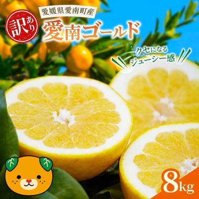 ふるさと納税 愛南町 愛南ゴールド ( 河内晩柑 ) 8kg +傷み補償分1割程度増量 愛南町 青果市場 なくなり次第終了