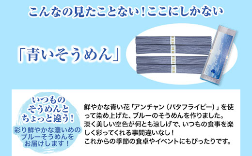そらいろそうめん濃色 選べる 2セット 3セット 6セット 福永幸山堂《30日以内に出荷予定(土日祝除く)》_イメージ2