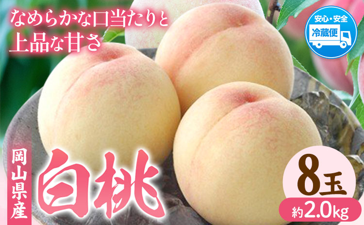 【先行予約】岡山県産 白桃  8玉（約2.0kg） クール便 晴れの国 おかやま館(フルーツランド岡山) 《7月中旬-7月下旬頃出荷》岡山県 浅口市 白桃 桃【配送不可地域あり】（離島）---124_c2178_7b7c_25_31000_8p---