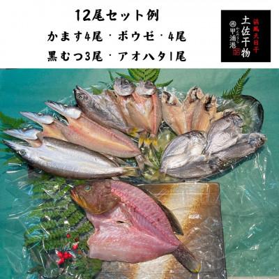 ふるさと納税 東洋町 天日干し 土佐干物 旬の地魚12尾セット 期間限定! |  | 01