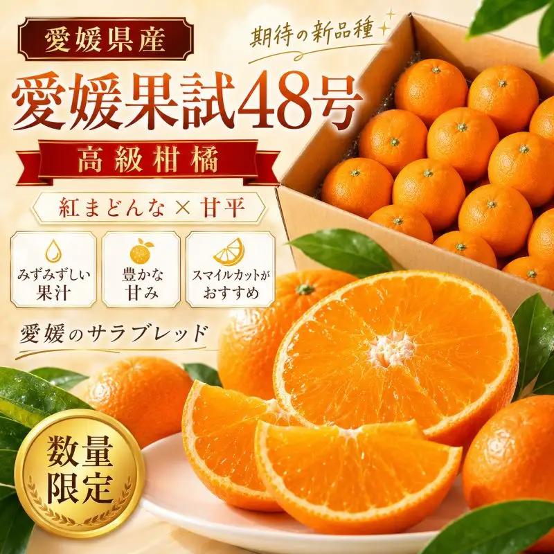 愛果48号 約2.5kg 家庭用 【2027年3月上旬頃から順次発送】 | みかん 愛媛 愛果 愛果48号 紅プリンセス と同品種 柑橘 ミカン アイカ かんきつ mikan フルーツ くだもの 果実