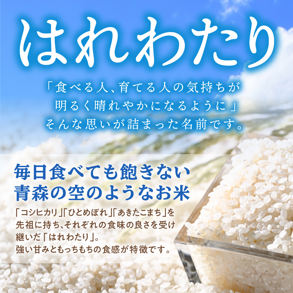 【定期便12ヶ月】令和7年産 米 はれわたり 5kg 青森県産 (精米)