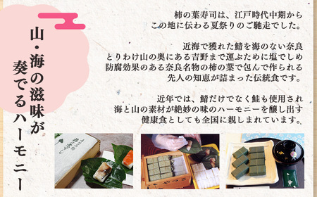 寿司 柿の葉寿司 28個 [BRAD006]