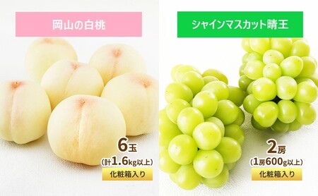 フルーツ 定期便 2027年 先行予約 フルーツ王国 岡山 ベストセレクト 2回コース 桃 もも 葡萄 ぶどう マスカット 岡山県産 国産 果物 セット ギフト 柔らかい 甘い 酸味 高級 香り 風味
