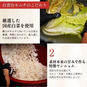 大阪 鶴橋 キムチ 1kg 発酵食品 旨辛_OS192-0004
