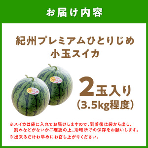 紀州プレミアムひとりじめ（小玉スイカ） 2玉3.5kg程度≪先行予約2027年5月下旬以降発送分≫【0251-5】