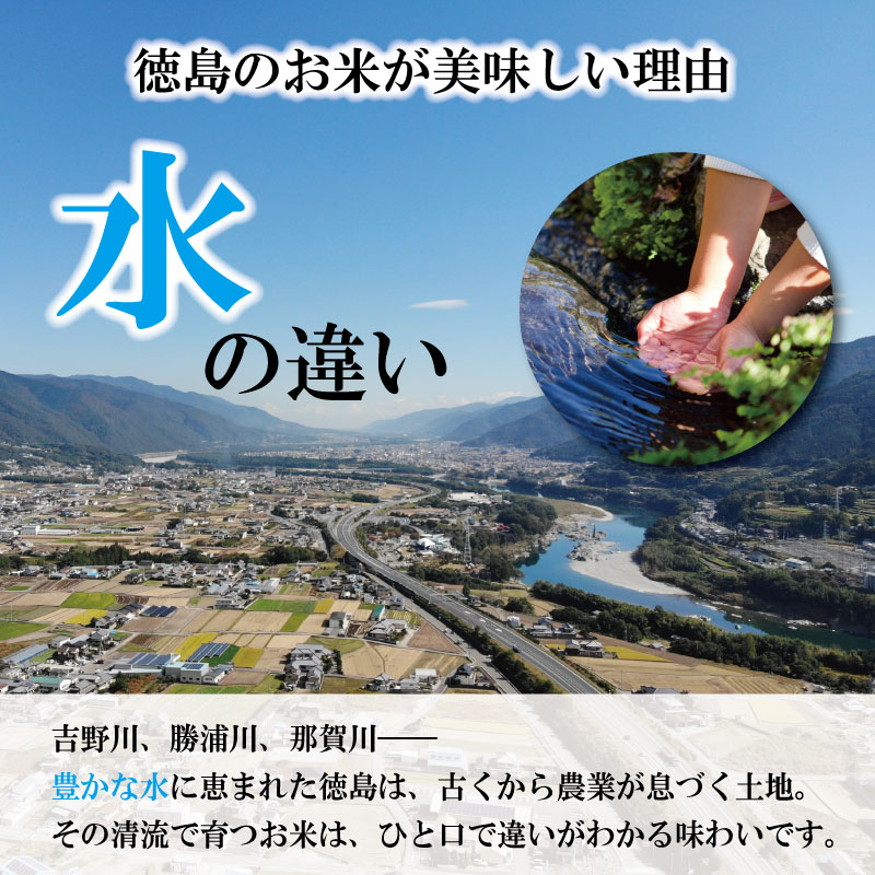 コシヒカリ 5kg 令和7年産 徳島県産 米 お米 国産 白飯 ご飯 精米 白米 こしひかり こめ コメ おこめ おむすび おにぎり 弁当 美味しい 徳島