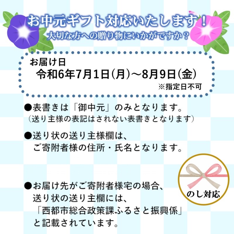 【お中元ギフト】 西都産完熟マンゴー 2L×2玉（700ｇ以上）鉢植栽培《先行予約》＜1.5-130＞