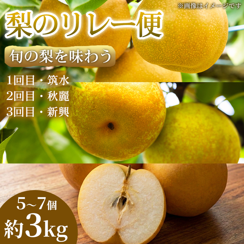 【旬の梨を味わう】熊本県産 リレー便(各5～7個 )(約3kg)(1回目)筑水(2回目)秋麗(3回目)新興 梨 フルーツ 詰め合わせ 食べ比べ 甘い 濃厚 農家直送 ギフト 贈答用 家庭用 お取り寄せ