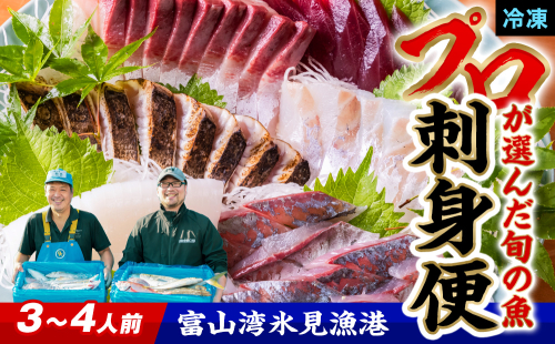 【魚問屋産地直送】氷見漁港から直送！老舗魚問屋が競り落とした魚を〈冷凍〉柵状でお届け | 刺身セット 鮮魚 詰め合わせ 富山湾 海の幸 魚介類 お魚 刺し身 さしみ 氷見漁港 柵 冷凍 瞬間凍結