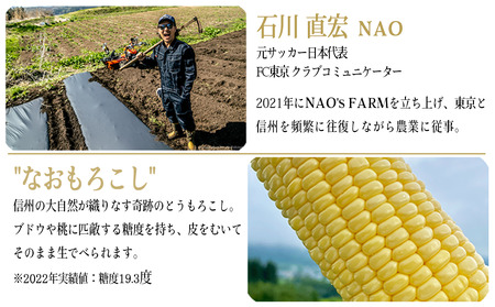 生で食べられる とうもろこし 5本 株式会社みみずや 本州限定 2024年7月下旬頃から2024年9月上旬頃まで順次発送予定 令和6年度収穫分 信州 野菜 甘い トウモロコシ コーン とうきび 産地直