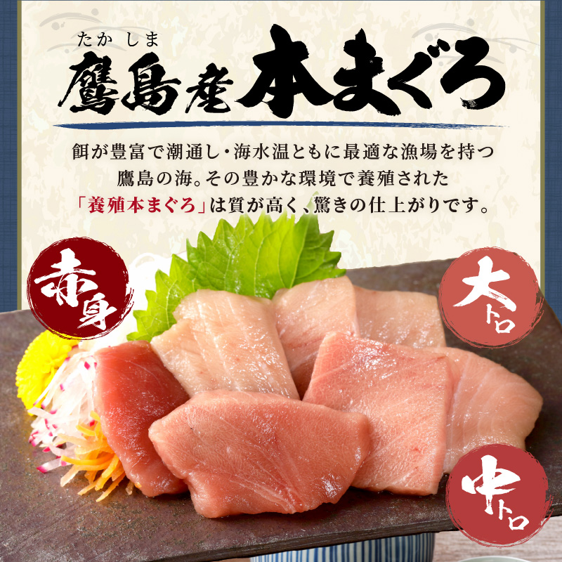 鷹島産本まぐろ 食べきりサイズ(80g×10p)とアジフライのセット(4枚×5p) ( 本まぐろ マグロ 鷹島産本まぐろ アジフライ あじ フィレタイプ ) 【D4-020】