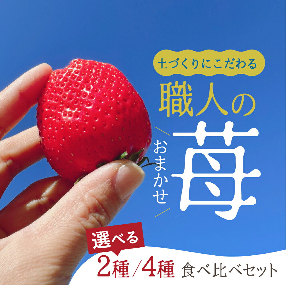 【ふるさと納税】【先行予約】安心安全！職人が作るおまかせ苺 選べる 2種 / 4種 食べ比べセット いちご 苺 おまかせ のため 訳あり 食べ比べ セット 安心 安全 国産 愛知県 田原市 渥美半島
