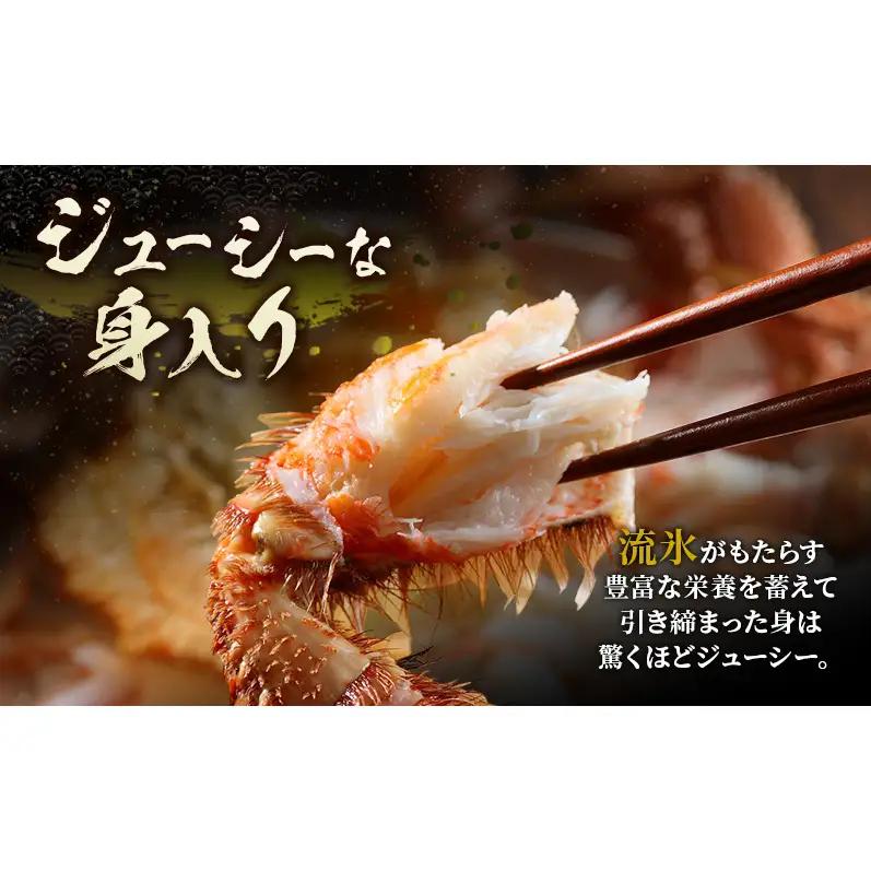オホーツク枝幸産 冷凍ボイル毛がに 1kg×1尾［三興水産］濃厚な蟹味噌【 カニ 蟹 毛ガニ 毛がに 毛蟹 かにみそ 蟹味噌 ボイル 茹で 冷凍 北海道 枝幸 特大 ギフト 】