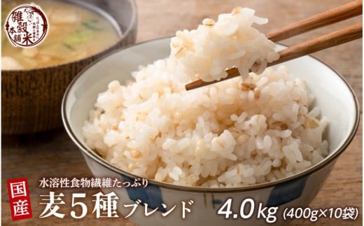 
            国産麦5種ブレンド 4.0kg(400g×10袋)
          