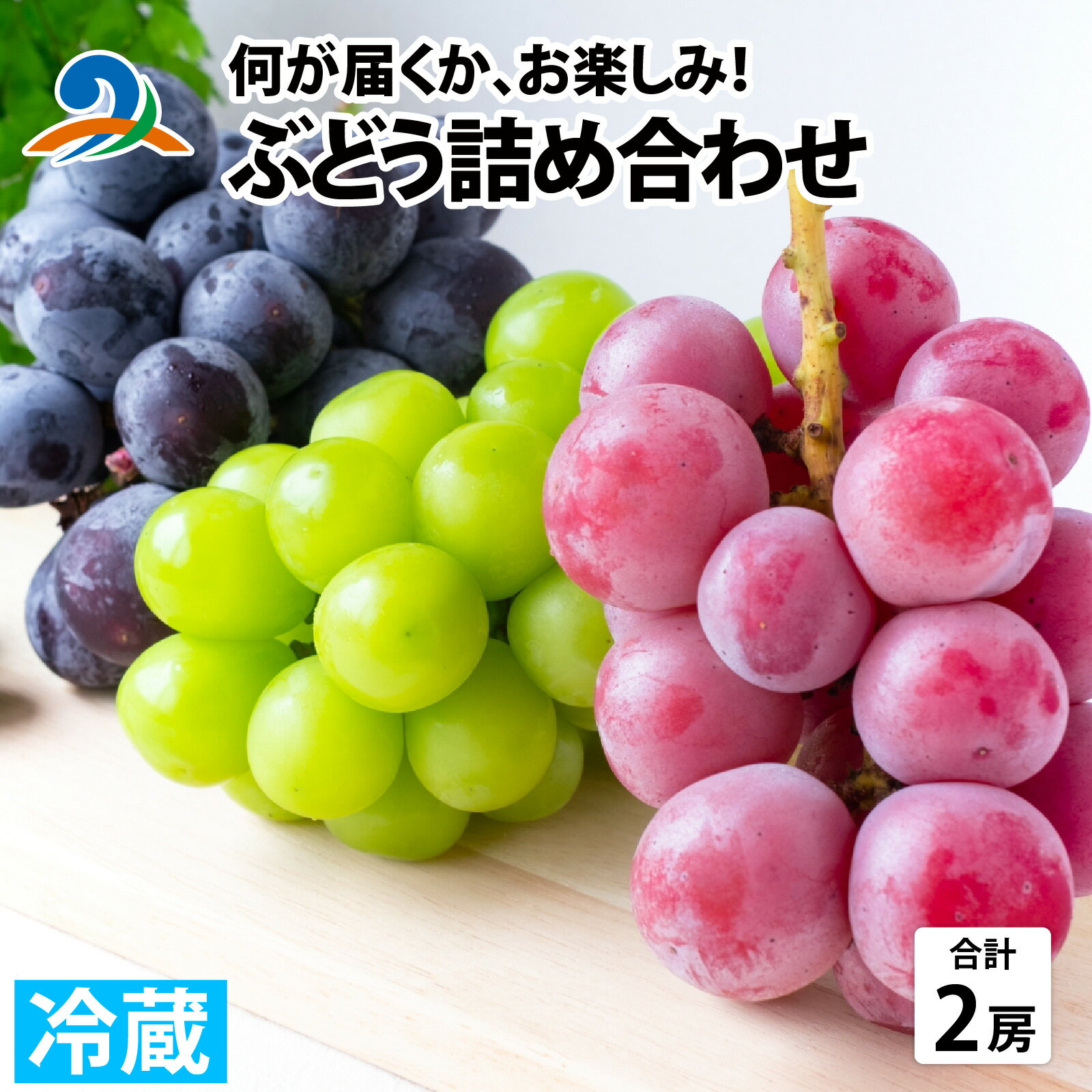 【ふるさと納税】【先行予約】【数量限定】ぶどう詰め合わせ 2房【8月中旬以降順次発送】 ／ ぶどう 葡萄 シャインマスカット ブラックビード 藤稔 クインニーナ オリエンタルスター 果物 フルーツ 新鮮 選べる種類 福井県 南越前町 果実 産地直送 数量限定 旬 送料無料