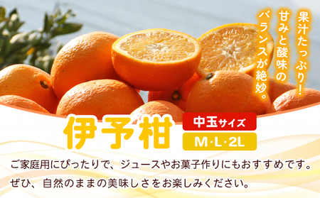 ＜fululy直送 伊予柑 訳あり 約3kg 中玉サイズ（M～2L）＞ ワケアリ サイズ混合 中玉 果物 フルーツ 蜜柑 いよかん イヨカン 柑橘 家庭用 合同会社fululy 直送 愛媛県 西予市【