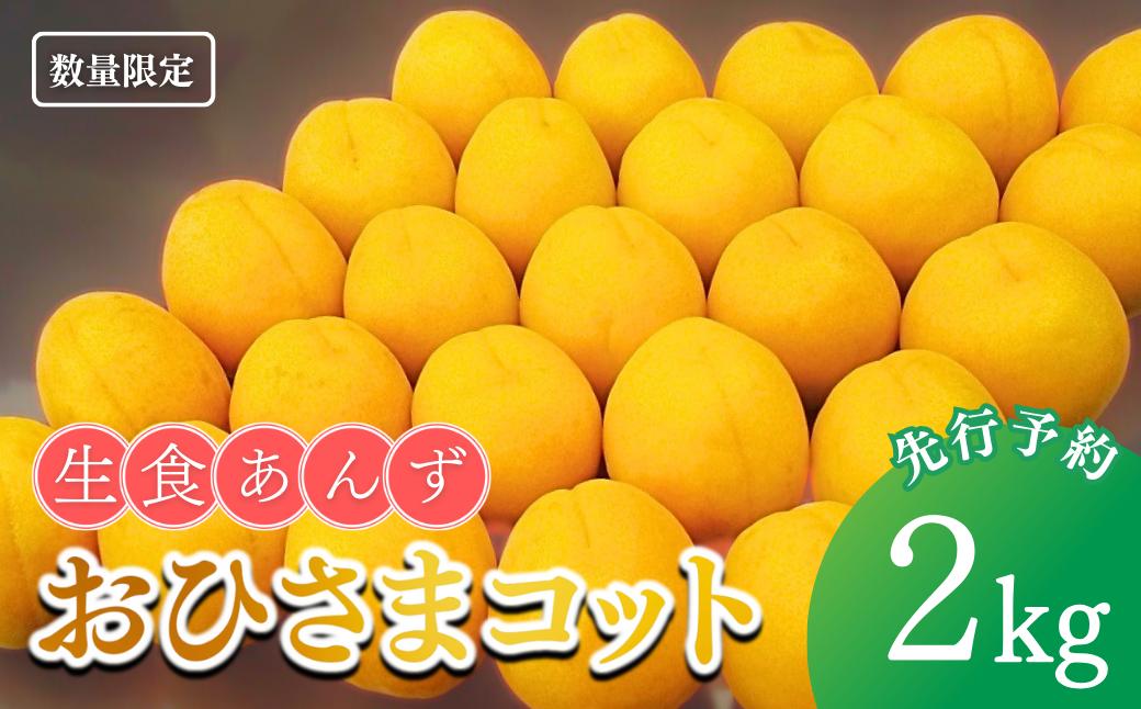 
            【2025年先行予約】あんず おひさまコット(生食/皮ごとOK)  約2kg 杏子 アプリコット 生食用 千曲市産 長野県 信州
          