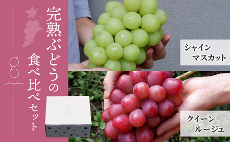 先行受付2025年発送【glasses farm】完熟ぶどうの贈り物（シャインマスカット×クイーンルージュ®各1房）※2025年9月中旬〜10月末頃発送予定