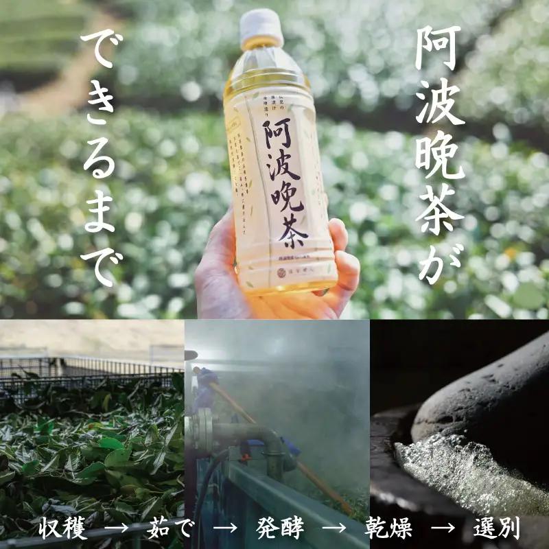 阿波晩茶 ペットボトル 6本 阿波晩茶