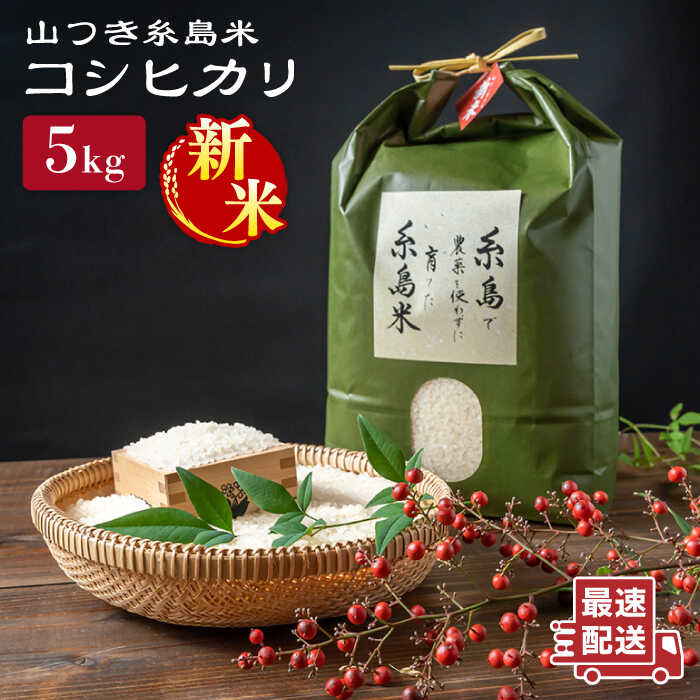 【ふるさと納税】【令和7年産新米】農薬不使用 山つき 糸島米 5kg（コシヒカリ）《糸島》【itoshimacco《(株)やました》】 [ARJ015] 常温 いとしまっこ 27000円 2万7千円