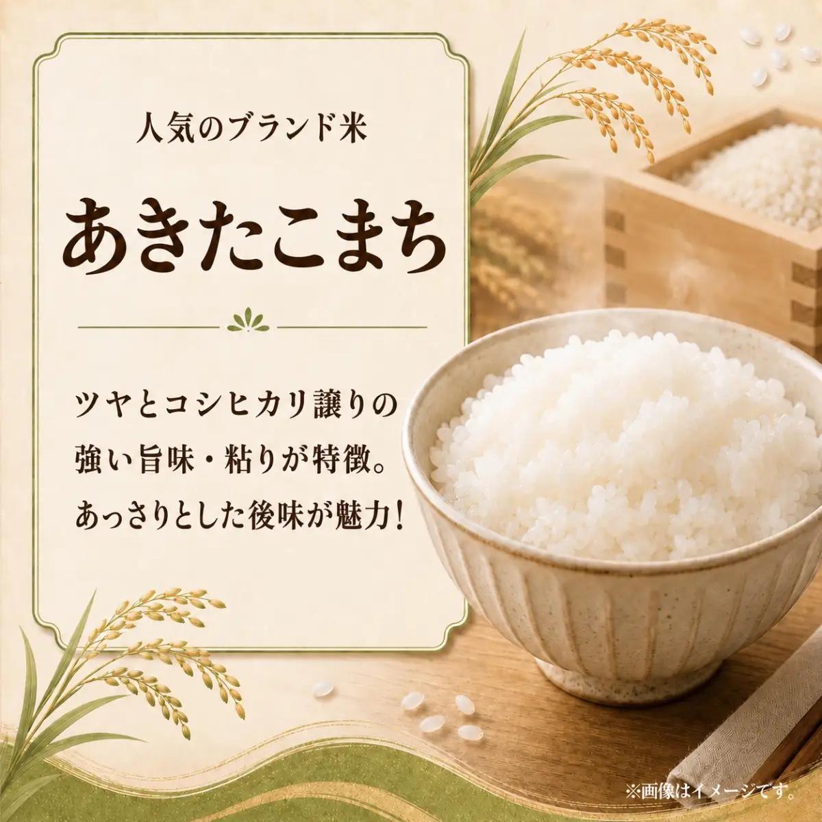 令和8年度米 あきたこまち 玄米 10kg 農家直送 | 新米 令和8年 先行受付 期間限定 
