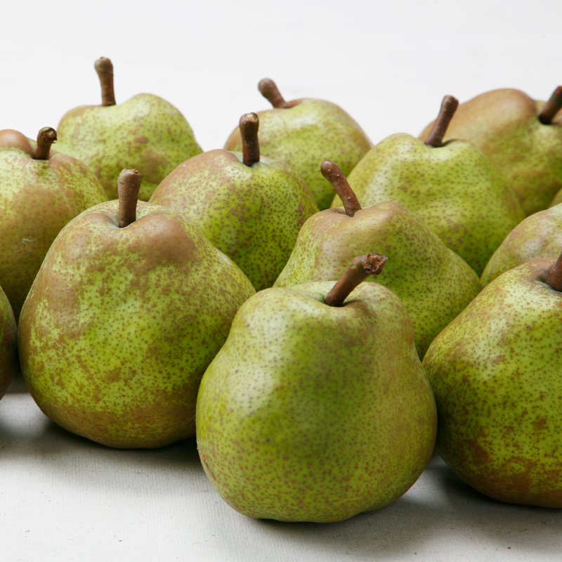 山形のラ・フランス 秀品 約5kg(12～20個) FY24-206