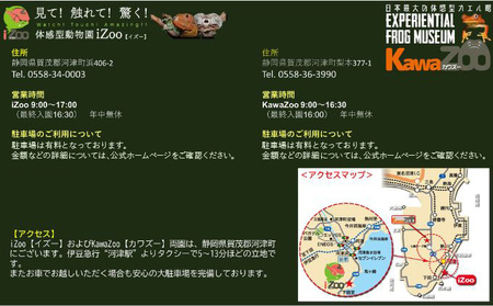 パスポート イズー カワズー 大人2名 ペア パスポート
