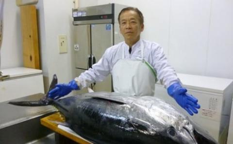 [A133p］《定期便》長崎県産本まぐろ(中トロ･赤身)480g以上【6回お届け】