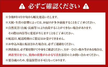 みやざき 完熟マンゴー 3L × 2玉 期間限定 数量限定 マンゴー 宮崎 フルーツ 果物 くだもの 国産 食品 先行予約 2026 令和8年発送 濃厚 デザート おやつ おすすめ 冷蔵 ご褒美 贅沢