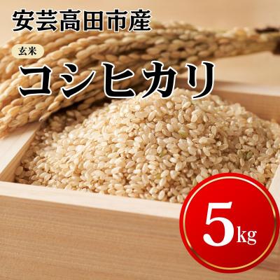 ふるさと納税 安芸高田市 米 令和7年産　安芸高田市産コシヒカリ『玄米』 5kg  [No5895-0252]