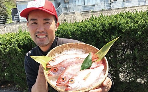 
幻の高級魚「のどぐろ（鮮魚）」魚介 のどぐろ 鮮魚 高級魚 ふるさと納税 のどくろ 魚 のどぐろ 旬 期間限定 鮮魚 アカムツ 【10】
