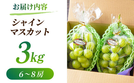 2025年10月まで発送 シャインマスカット 3kg(6～8房)【合同会社 社方園】ぶどう 大粒  熊本 期間限定  マスカット [ZBZ014]