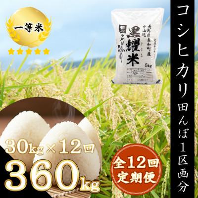ふるさと納税 長和町 【毎月定期便】精米まるごと田んぼ1区画分!コシヒカリ360kg保障　30kg/月全12回
