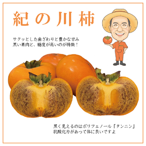 お試しに！【ご家庭用】紀の川柿 約1.5kg カキエモン農園 【2025年10月中旬～11月中旬頃順次発送】/ 和歌山県 かつらぎ町 果物 くだもの フルーツ 柿 かき 和歌山 人気 送料無料【BX-