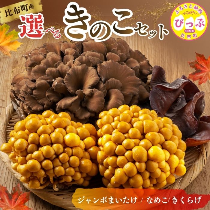 【ふるさと納税】【北海道きのこ品評会 最優秀賞受賞】比布町産 選べるきのこセット（ジャンボまいたけ・なめこ・きくらげ）【遠藤農産】きのこ キノコ セット 詰め合わせ 組み合わせ 舞茸 滑子 木耳 国産 北海道産 北海道 比布町 ぴっぷ ＜レビューキャンペーン＞